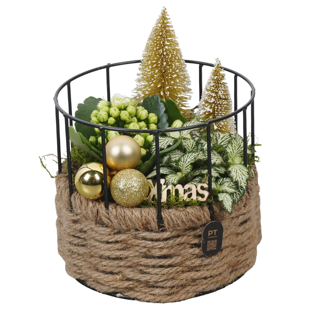 Christmas arrangement 20cm 17cm Pot