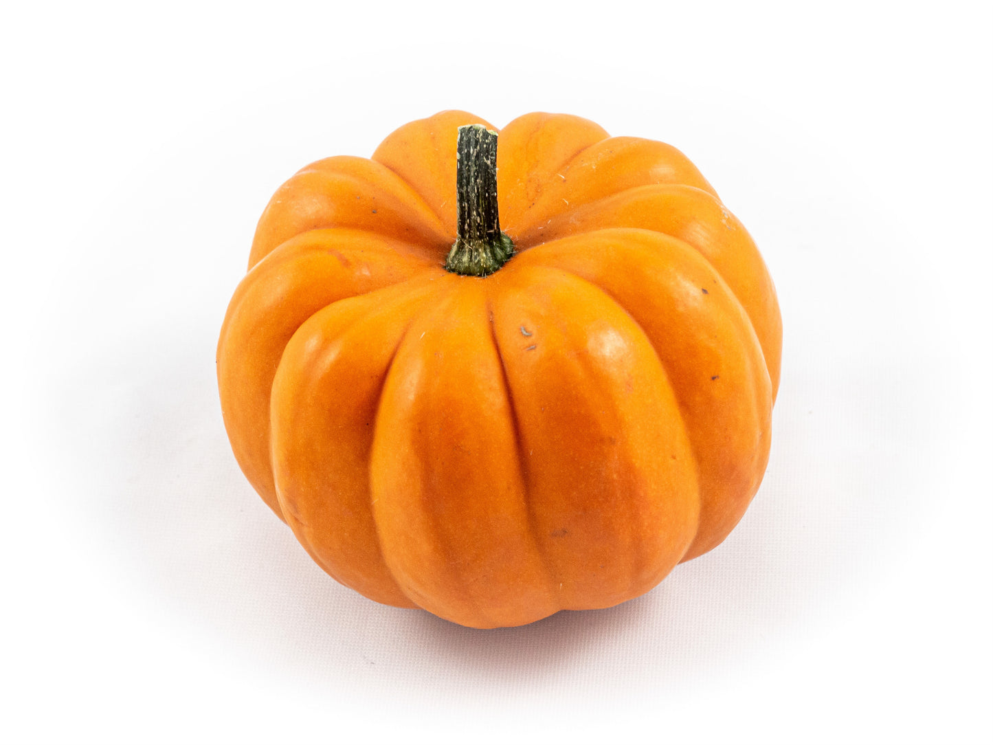Cucurbita Orange Boo 11cm 11cm Pot