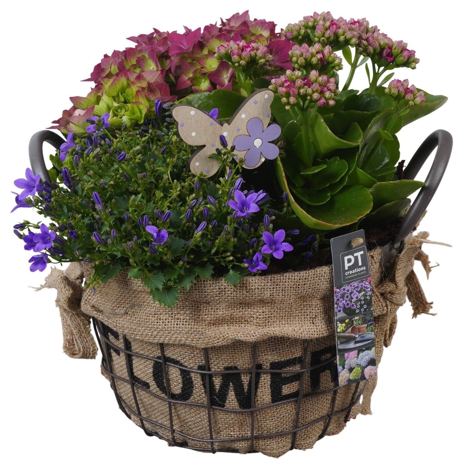 arr. PM196 34cm 26cm Pot