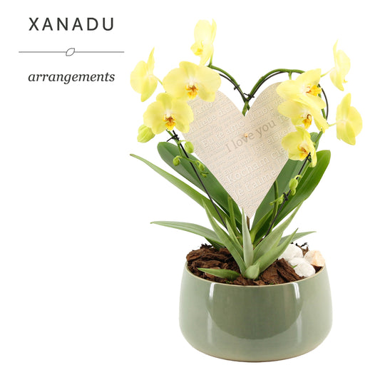 Xanadu Kyoto 40cm 24cm Pot