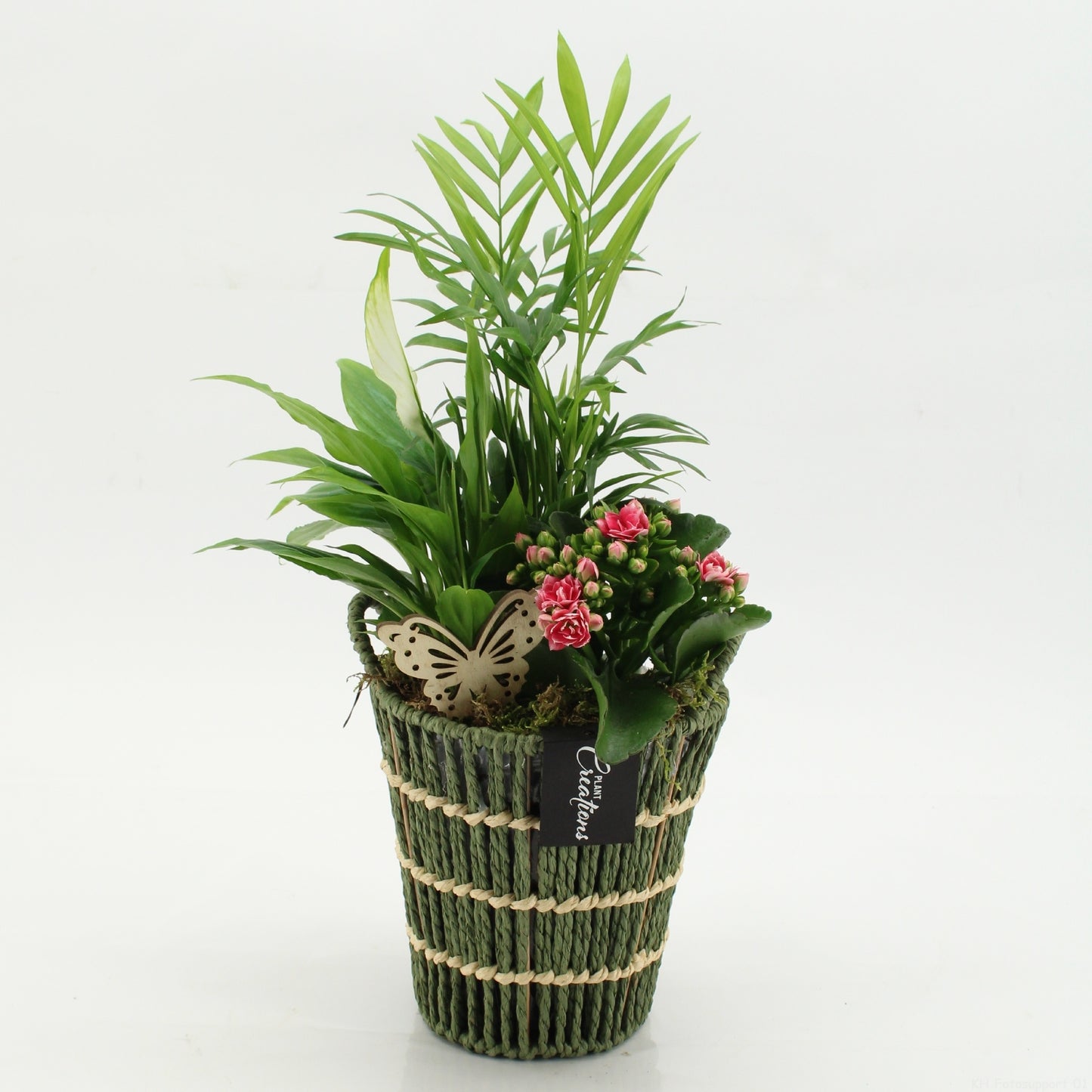 ESCR-2617RZ Essentials 45cm 16cm Pot