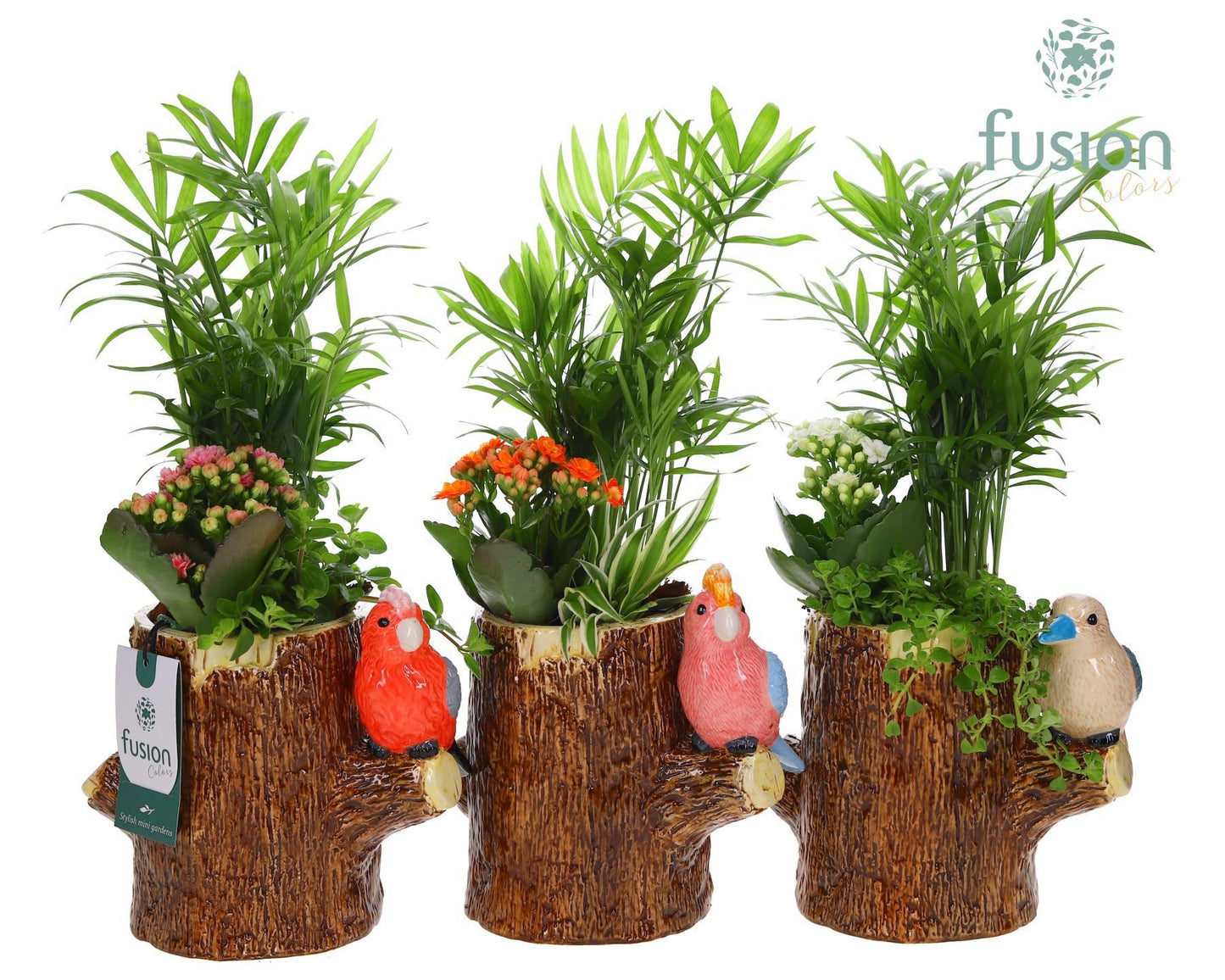 Keramiek boomstam planter met Aragement 43cm 19cm Pot