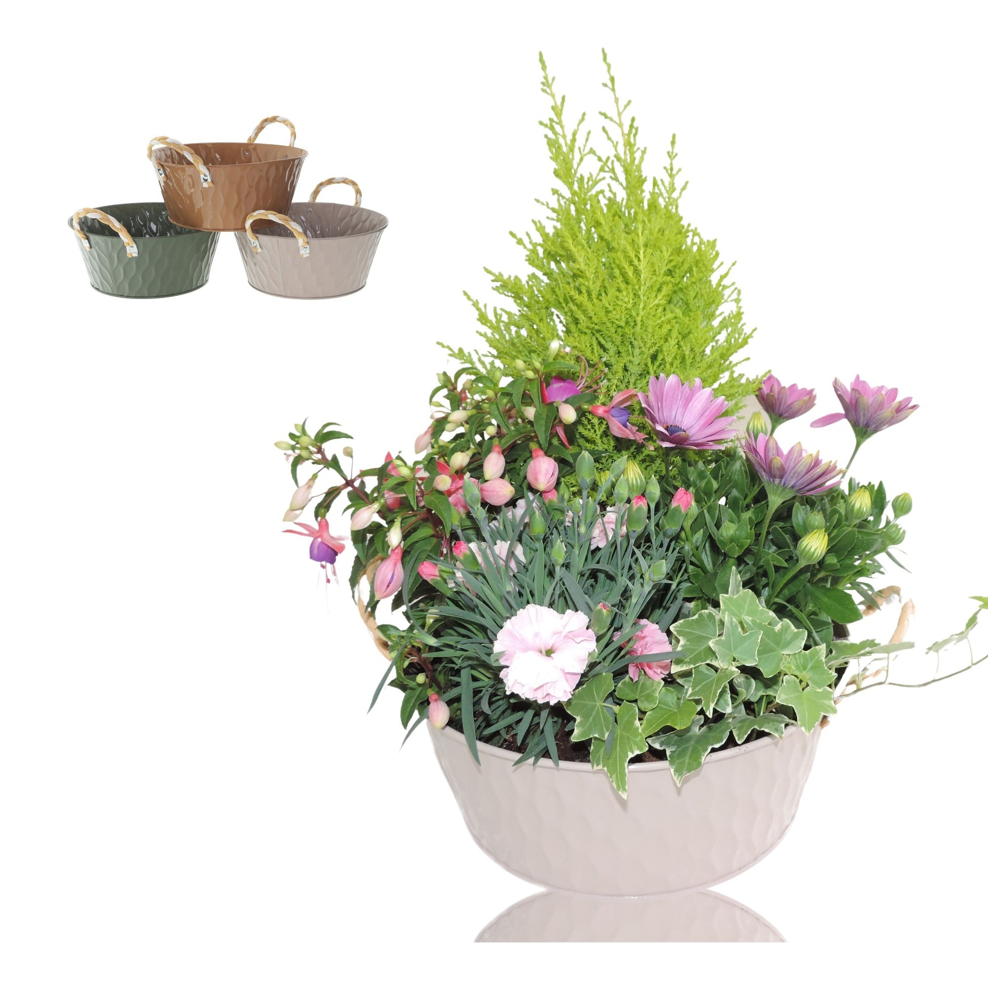 Outdoor arrangement 40cm 25cm Pot