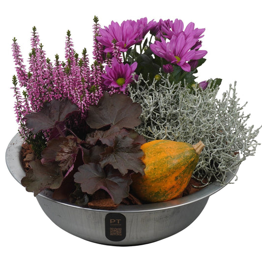 Outdoor arrangement 26cm 29cm Pot