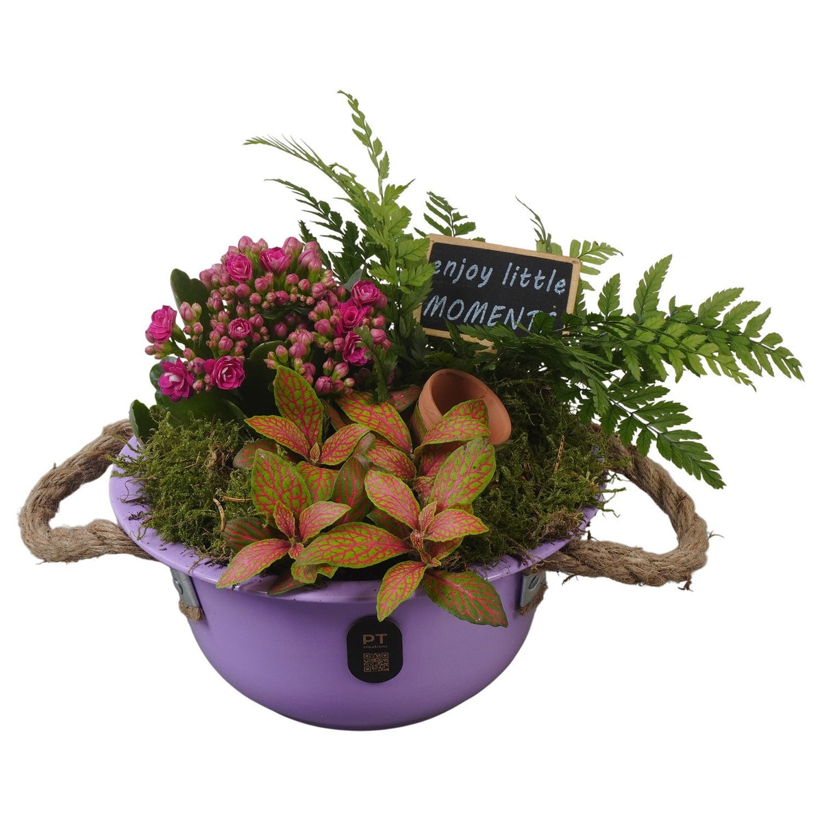 Indoor arrangement 19cm 18cm Pot