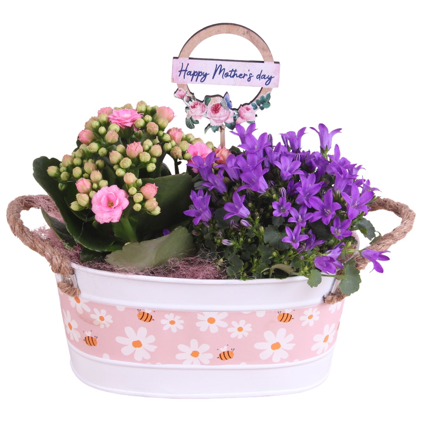 Indoor arrangement 30cm 19cm Pot