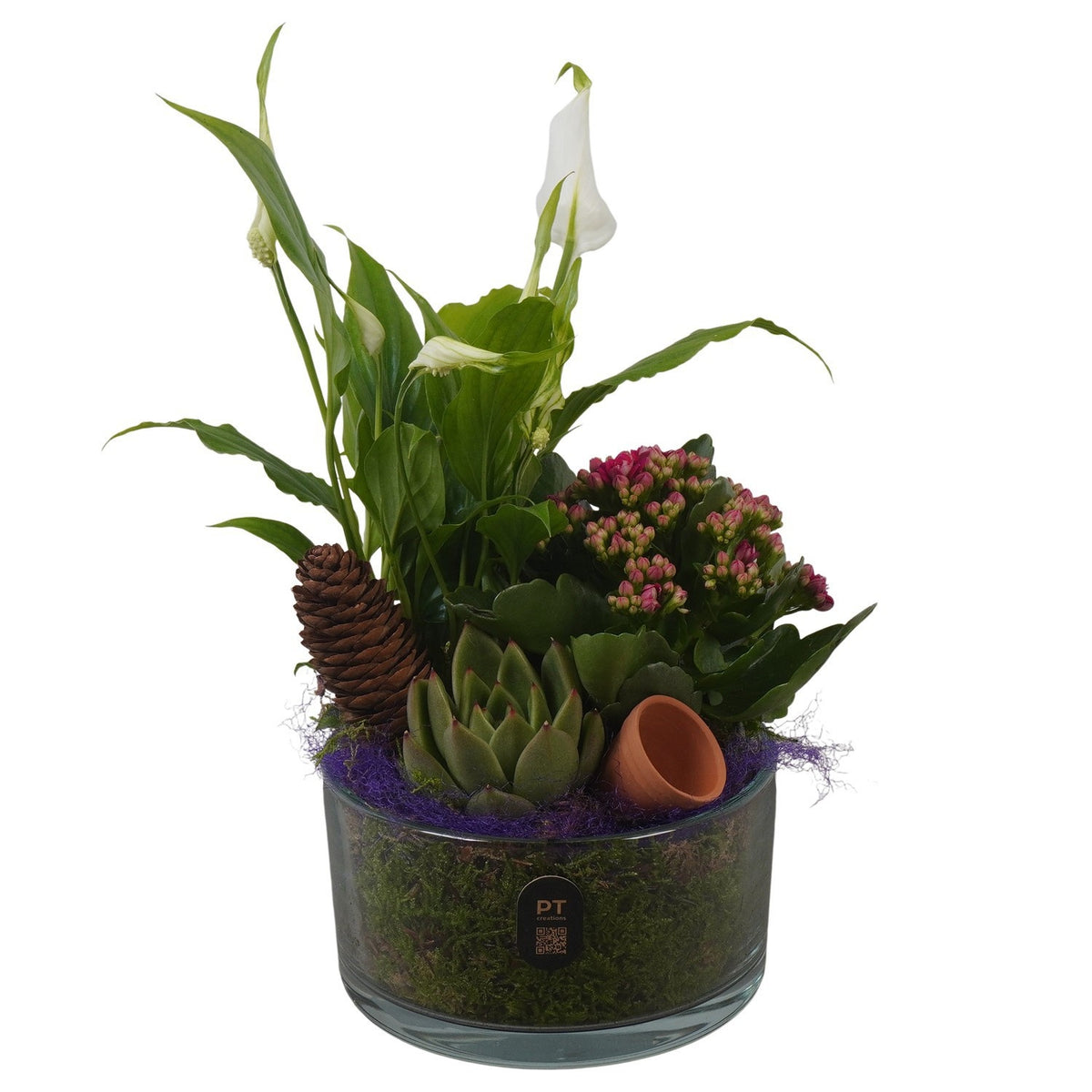 Indoor arrangement 27cm 14cm Pot