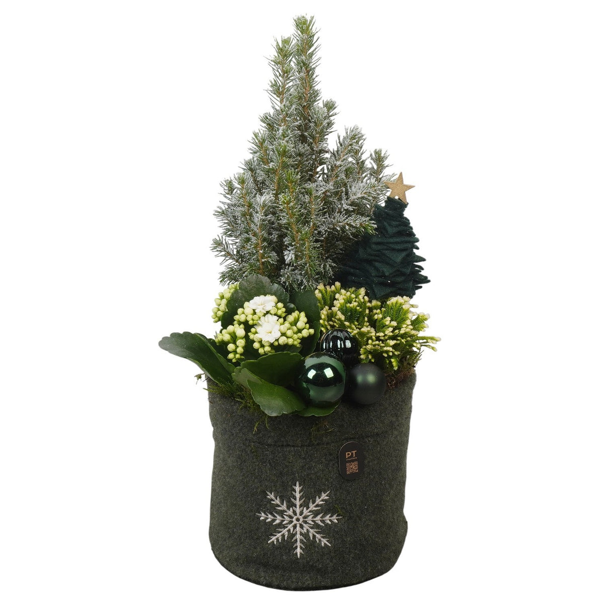Christmas arrangement 43cm 17cm Pot