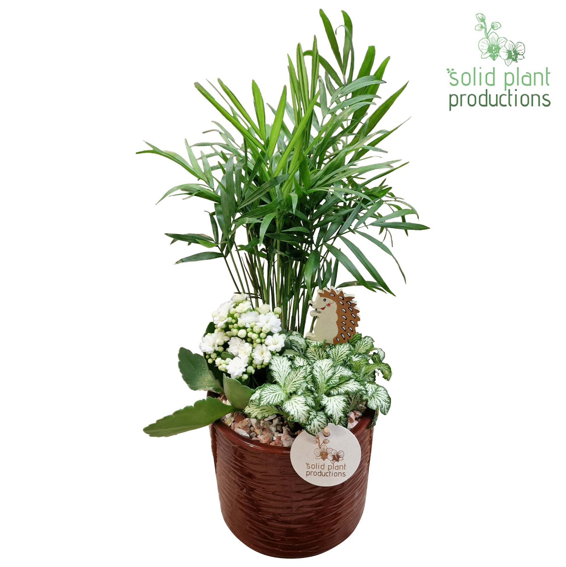 CH001 Amy Brown 35cm 13cm Pot