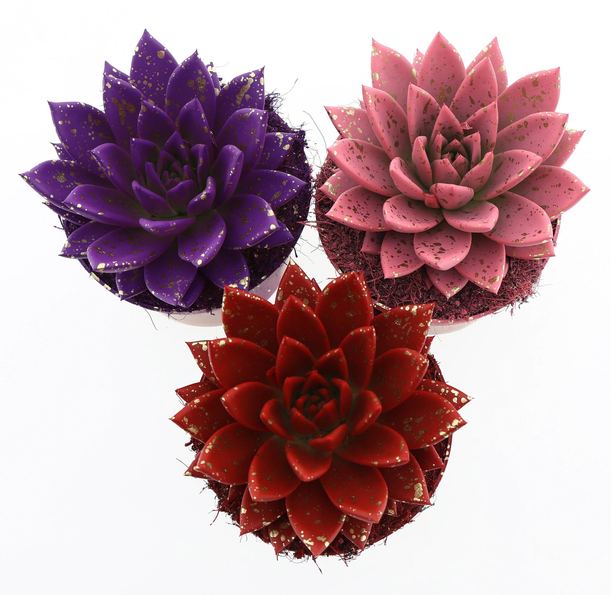Euro Cactus Holland Bv Miranda sprinkle love mix Pack of 6