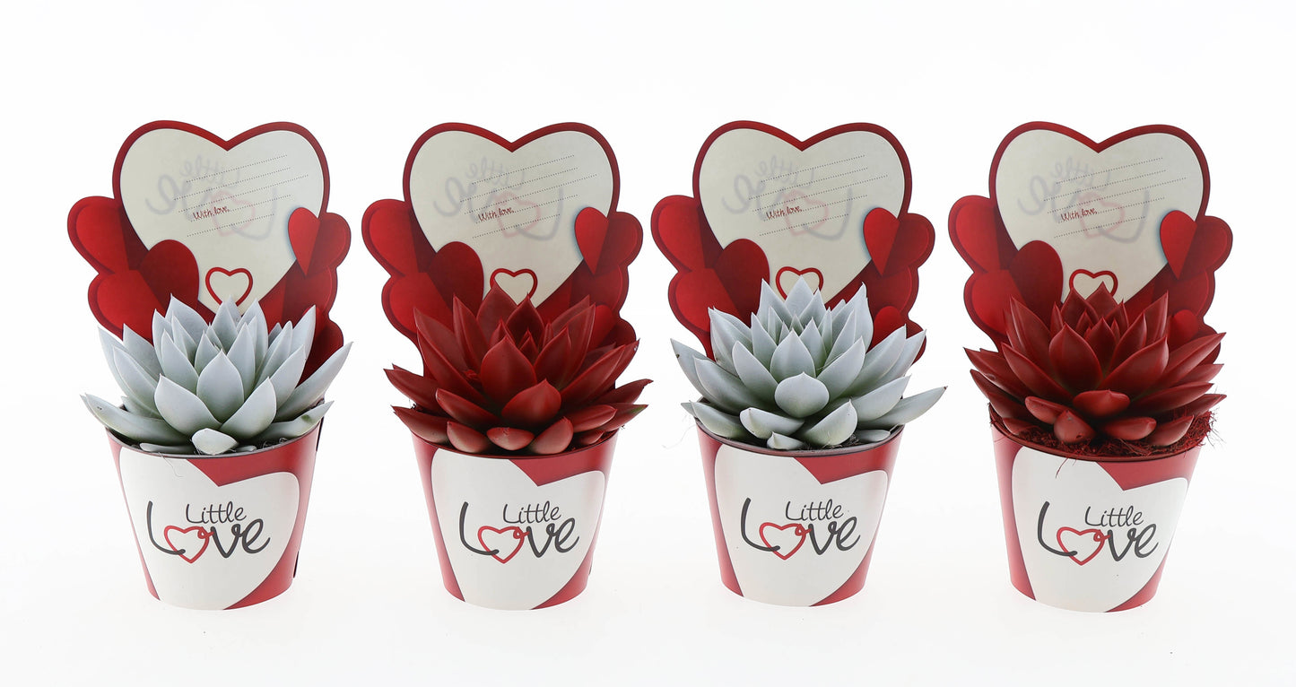 Potcover little love red/white 10cm Special Pot (508)