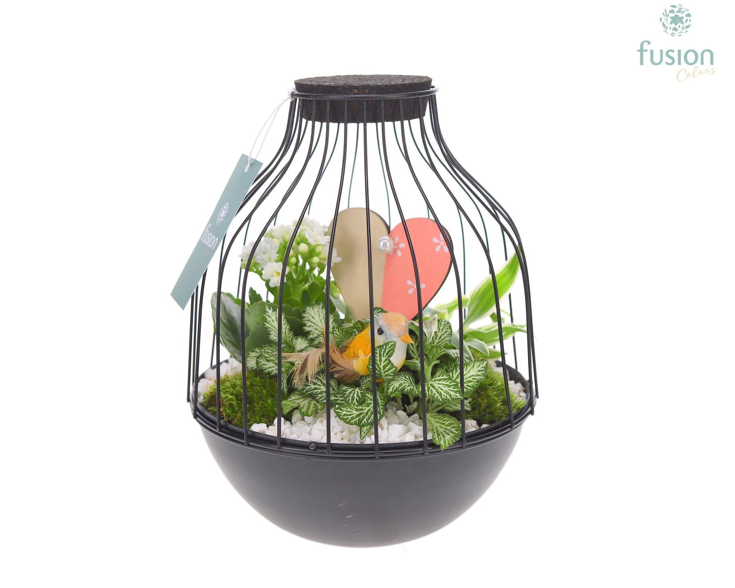 Vogelkooi metaal zwart Medium Love met arrangement 25cm 19cm Pot