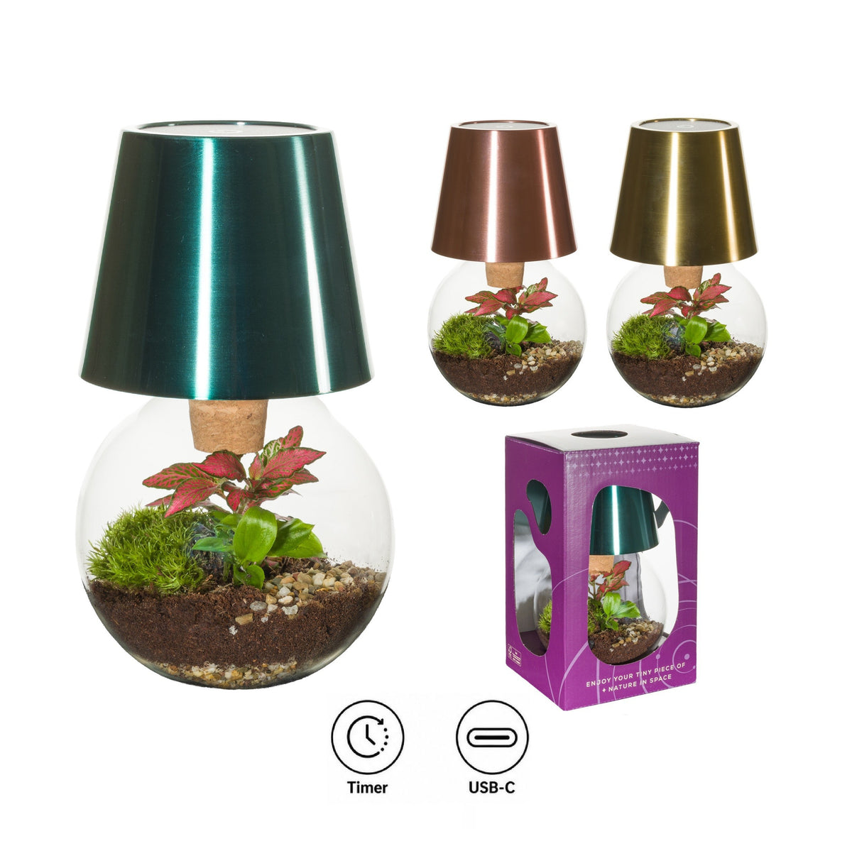 wardians-terrarium-cosmolight-21cm-12cm-pot-933