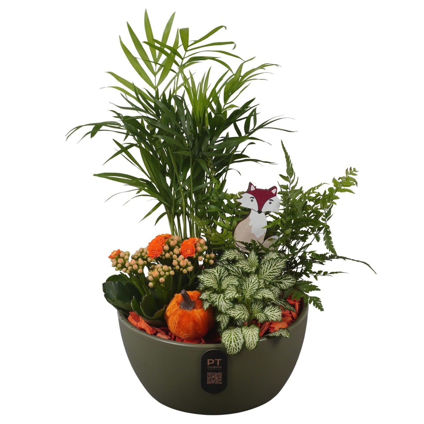 Indoor arrangement 34cm 18cm Pot
