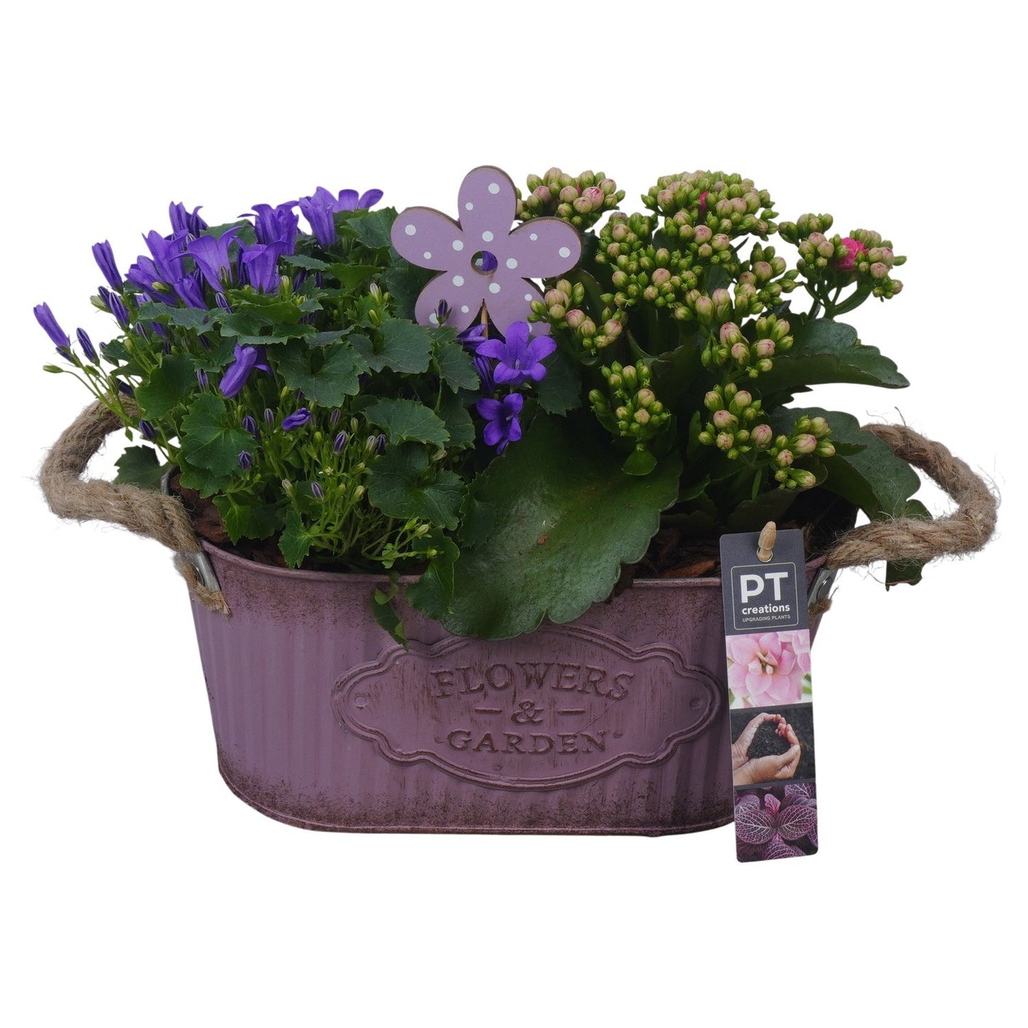 Outdoor arrangement 22cm 24cm Pot