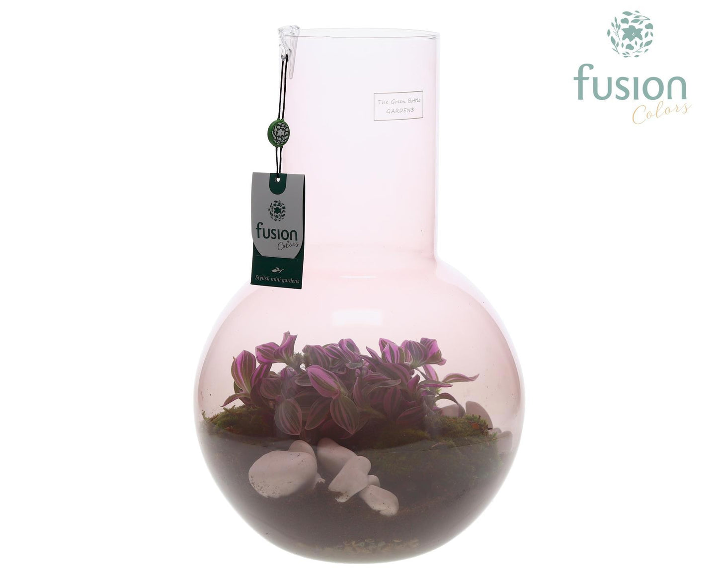 Green Bottle Suzanne Large Smoky Pink met Tradescantia 43cm 26cm Pot