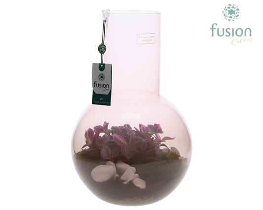 Green Bottle Suzanne Large Smoky Pink met Tradescantia 43cm 26cm Pot