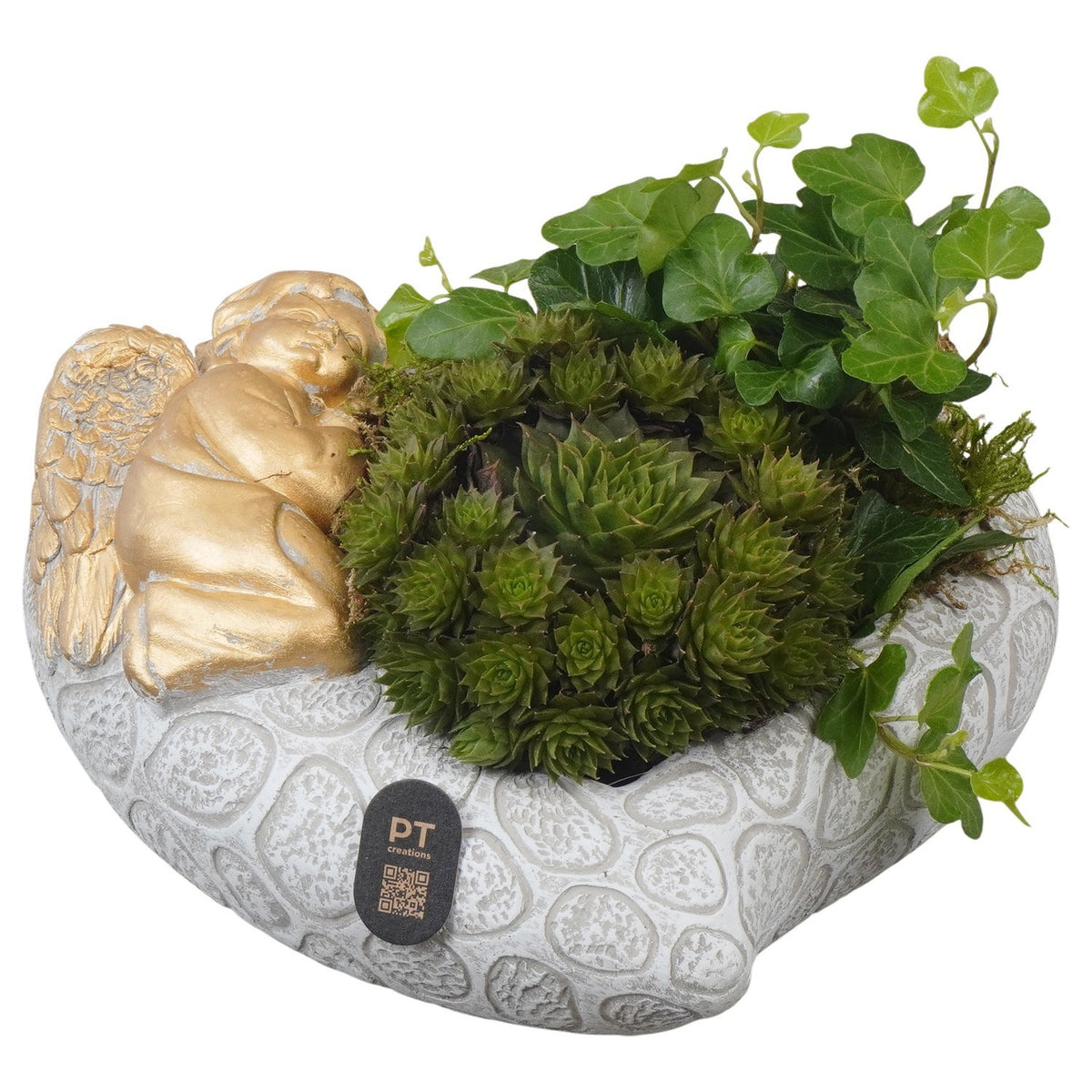 arr. all saints day 13cm 20cm Pot