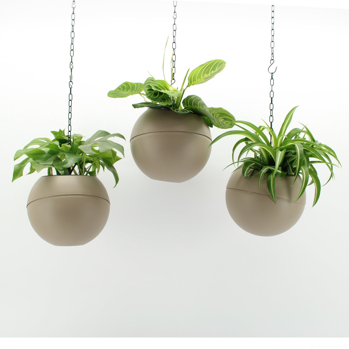 Indoor green arrangement 35cm 20cm Pot