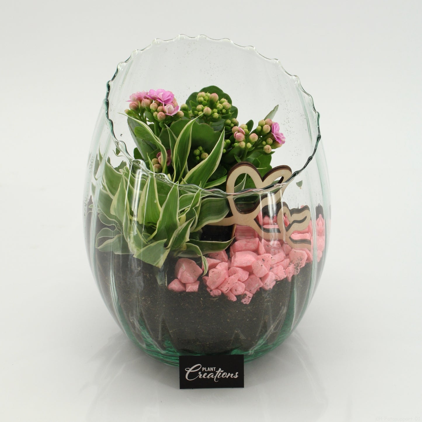Indoor arrangement 20cm 16cm Pot