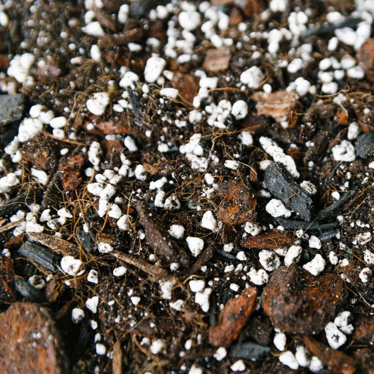 Soil Ninja Anthurium & Orchid Blend