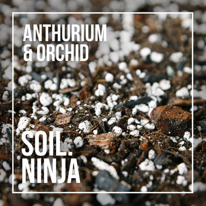 Soil Ninja Anthurium & Orchid Blend