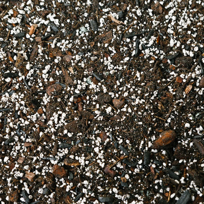 Soil Ninja Anthurium & Orchid Blend
