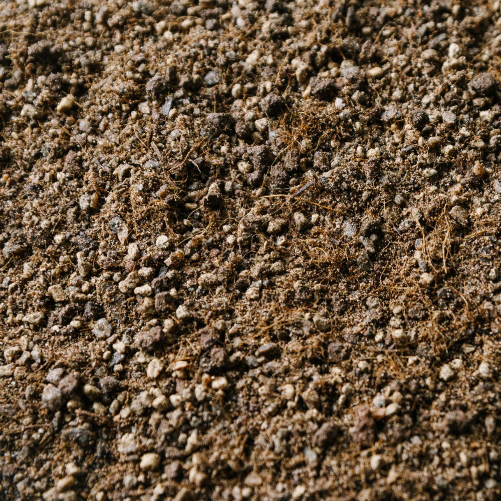 Soil Ninja Cacti and Succulent Blend