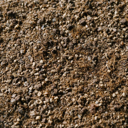 Soil Ninja Cacti and Succulent Blend