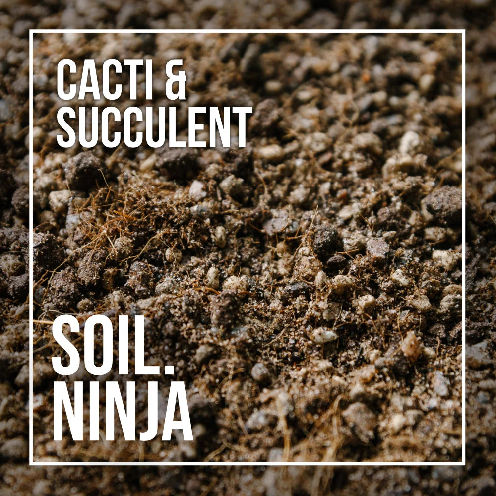 Soil Ninja Cacti and Succulent Blend