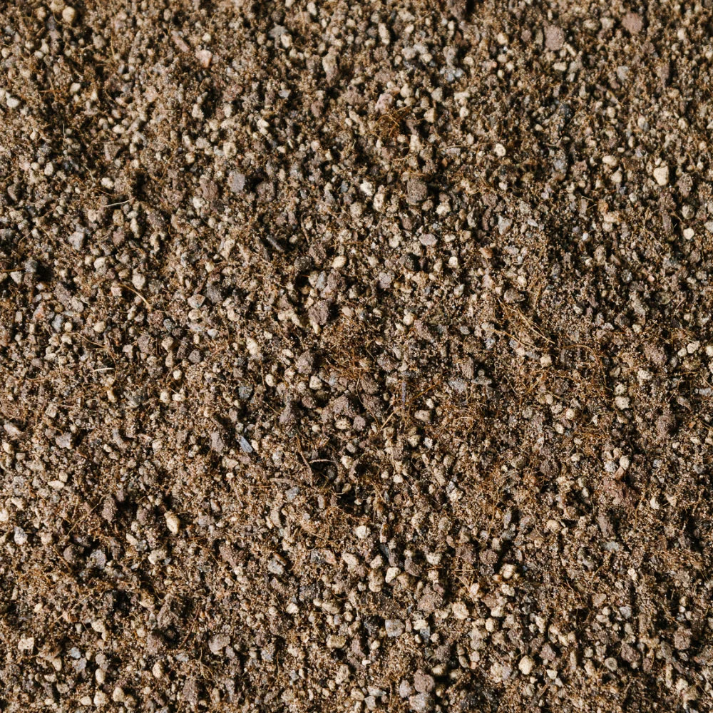 Soil Ninja Cacti and Succulent Blend