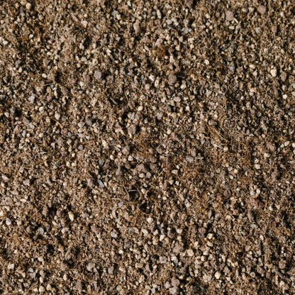 Soil Ninja Cacti and Succulent Blend
