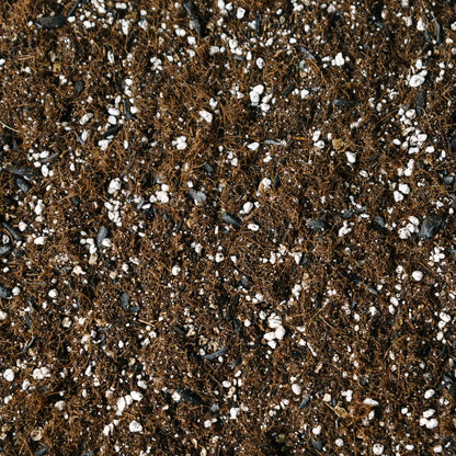 Soil Ninja Calathea and Maranta Blend