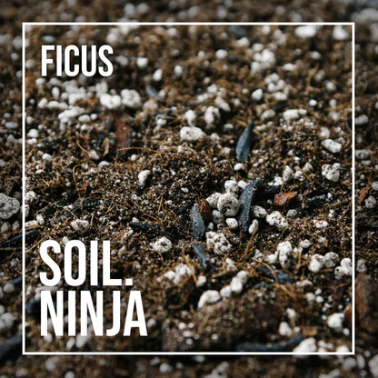 Soil Ninja Ficus Blend