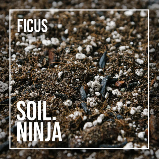 Soil Ninja Ficus Blend
