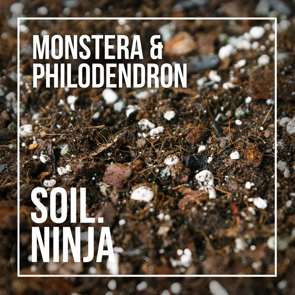 Soil Ninja Monstera and Philodendron