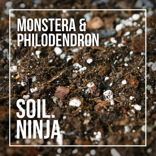 Soil Ninja Monstera and Philodendron