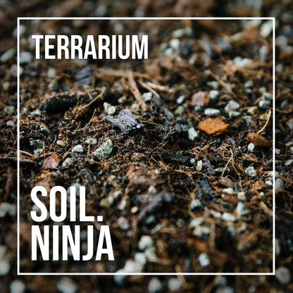 Soil Ninja Terrarium Blend