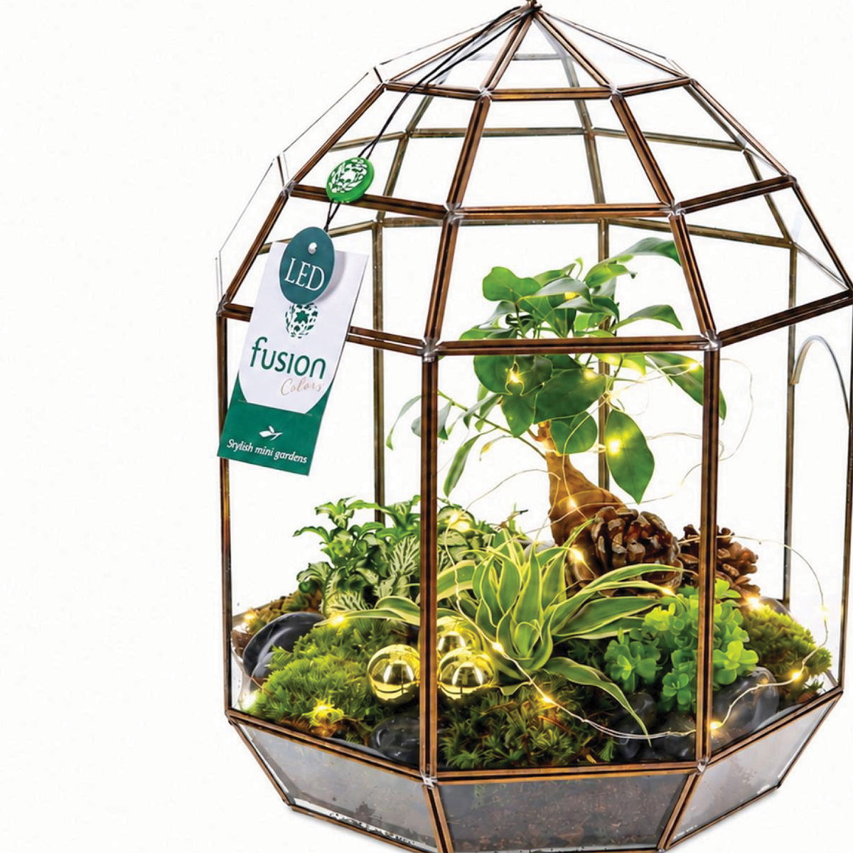 Wholesale plant pots and accessories